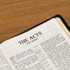Acts